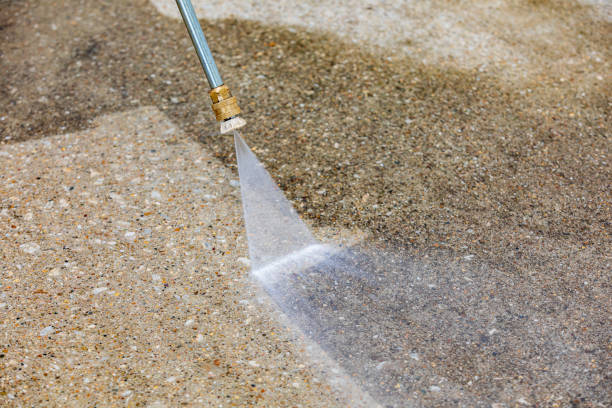 Best Vinyl Siding Pressure Washing in Plainview, MN
